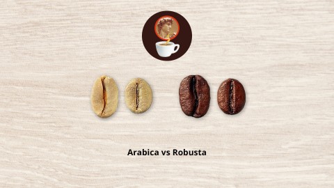 Arabica y Robusta: las dos almas del café italiano