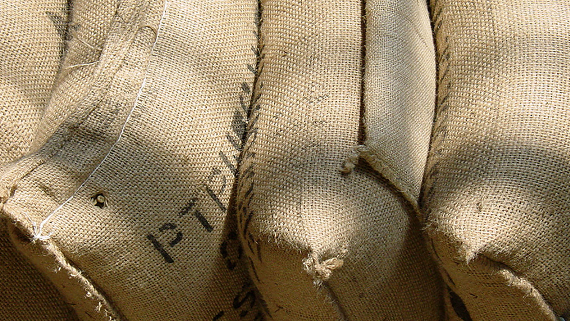 Sacks of green coffee beans in jute sacks