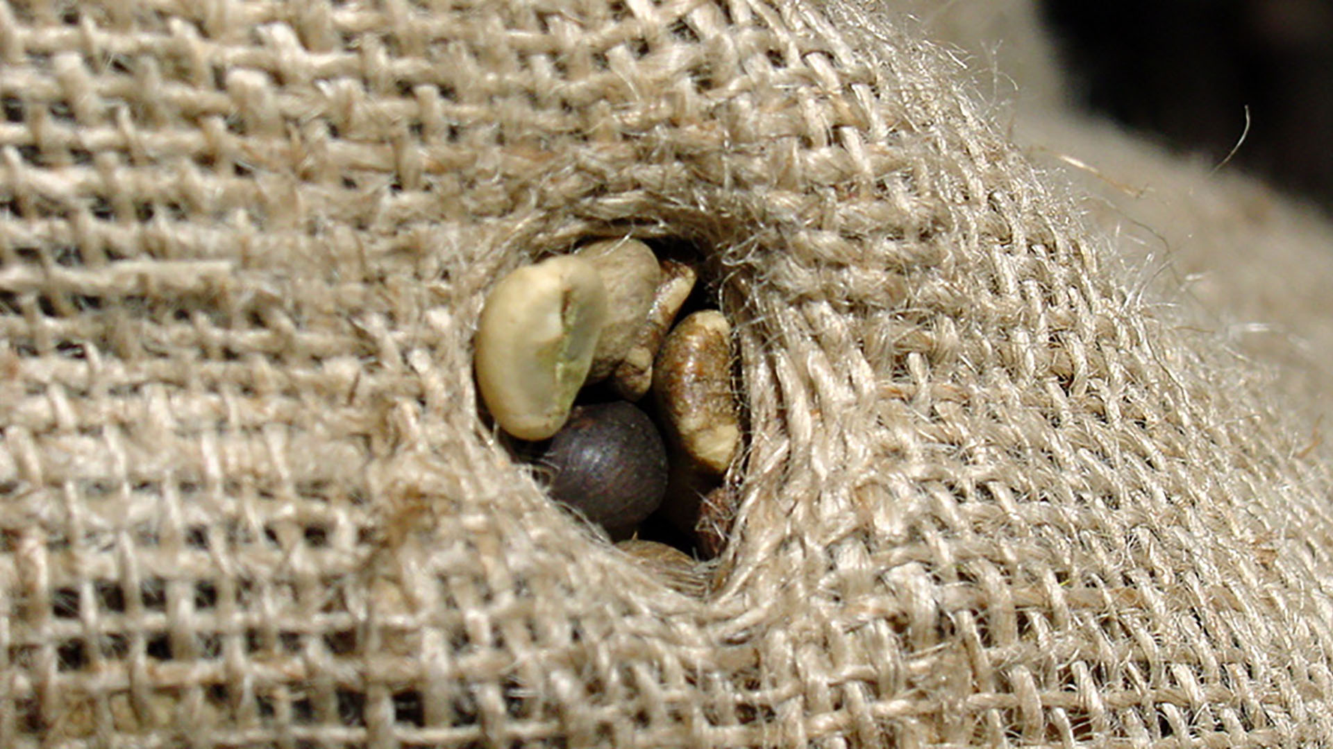 Jute sack with inspection hole for raw coffee