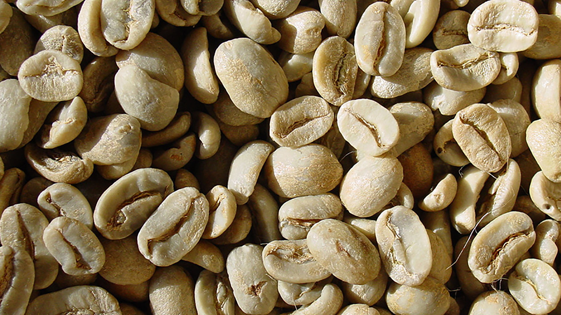 Raw coffee beans